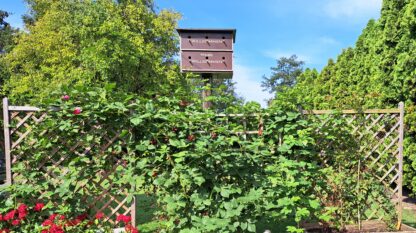 Spatzenhotel aus Siebdruckplatten Nistkasten, Meisen, Vogelhaus – Bild 3