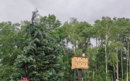 Spatzenhotel Nistkasten für Meisen, Vogelhaus, Brutkasten – Bild 4