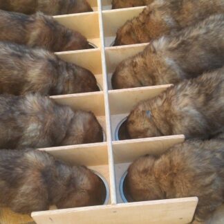 Welpennäpfe, Futterstation,/ Welpenfutterbar mit 10 Näpfen 850ml.