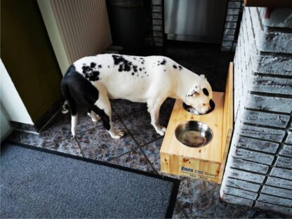 Futterstation Hundebar Futterbar für mittelgroße bis große Hunde