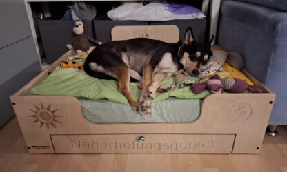 Hundebett aus Holz mit praktischer Schublade – Bild 4